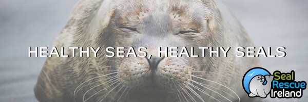 6 Marvellous At-Home Family Events To Enjoy in March Seal Rescue